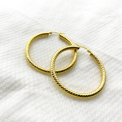 Gold Plated Earring EA629