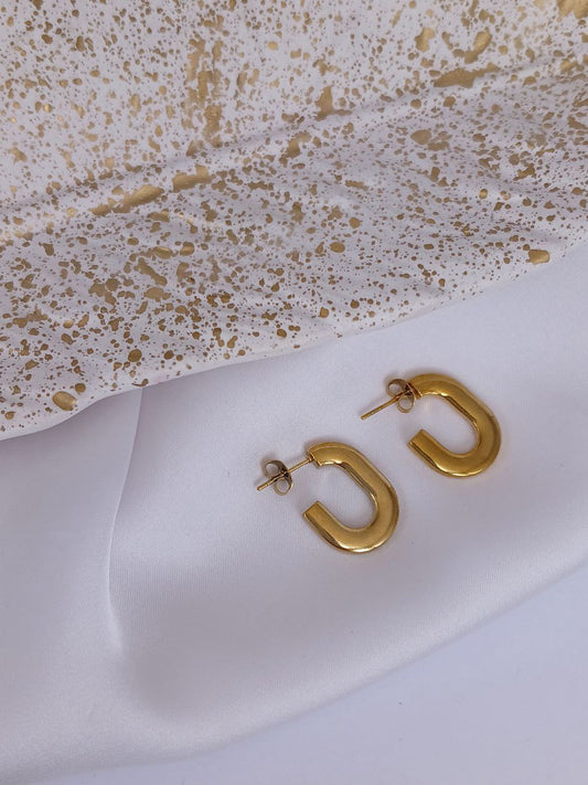 Gold Plated Earring EA613